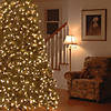 National Tree Company 7.5 ft. Jersey Fraser Fir Medium Tree with Clear Lights Image 1