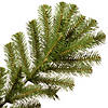 National Tree Company 7.5 ft. North Valley&#174; Spruce Tree Image 3