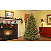 National Tree Company 7.5 ft. PowerConnect&amp;#8482; Dunhill&amp;#174; Fir Tree with Clear Lights Image 4