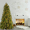 National Tree Company 7.5 ft. Tiffany Fir Slim Tree with Clear Lights Image 1