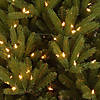 National Tree Company 7.5 ft. Topeka Spruce Tree with Clear Lights Image 2