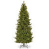 National Tree Company 7 ft. Natural Fraser Slim Fir Tree Image 1