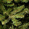 National Tree Company 7 ft. Natural Fraser Slim Fir Tree Image 2