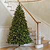 National Tree Company 7 ft. North Valley&#174; Spruce Tree with Clear Lights Image 1