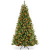 National Tree Company 7 ft. North Valley&#174; Spruce Tree with Multicolor Lights Image 1