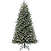 National Tree Company 7 ft. Pre-Lit Snowy Olallie Pine Tree with LED Lights Image 1