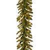 National Tree Company 9 ft. Dunhill&#174; Fir Garland with Clear Lights Image 1