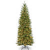National Tree Company 9 ft. Dunhill&#174; Fir Slim Tree with Clear Lights Image 1