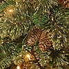 National Tree Company 9 ft. Golden Bristle Garland with Clear Lights Image 2