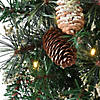 National Tree Company 9 ft. Golden Bristle Garland with Clear Lights Image 3