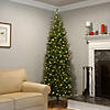 National Tree Company 9 ft. Kingswood&#174; Fir Pencil Tree with Clear Lights Image 1