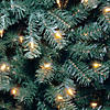 National Tree Company 9 ft. North Valley&#174; Blue Spruce Tree with Clear Lights Image 2