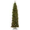 National Tree Company 9 ft. North Valley&#174; Spruce Pencil Slim Tree with Clear Lights Image 1