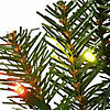 National Tree Company 9 ft. Norwood Fir Garland with Battery Operated Multicolor LED Lights Image 3