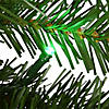 National Tree Company 9 ft. Norwood Fir Garland with Battery Operated Multicolor LED Lights Image 4