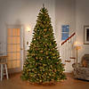 National Tree Company 9 ft. PowerConnect&#8482; North Valley Spruce Tree with Light Parade&#174; LED Lights Image 1