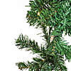 National Tree Company 9 ft. Stefan Fir Garland with Clear Lights Image 2