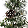 National Tree Company 9 ft. Whitter Pine Garland with LED Lights Image 2