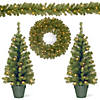 National Tree Company Evergreen Assortment with Battery Operated LED Lights Image 1