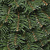 National Tree Company Evergreen Assortment with Battery Operated LED Lights Image 2