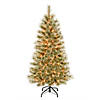 National Tree Company First Traditions&#8482; 4.5 ft. Arcadia Cashmere Pine Tree with Clear Lights Image 1