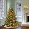 National Tree Company First Traditions&#8482; 4.5 ft. Charleston Pine Tree with Clear Lights Image 1