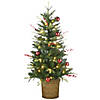 National Tree Company First Traditions&#8482; 4 ft. Scotch Creek Fir Entrance Tree with LED Lights Image 1