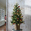 National Tree Company First Traditions&#8482; 4 ft. Scotch Creek Fir Entrance Tree with LED Lights Image 1