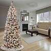 National Tree Company First Traditions&#8482; 6 ft. Acacia Medium Flocked Tree with Clear Lights Image 1