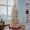 National Tree Company First Traditions 6 ft. Acacia Pencil Slim Flocked Tree with Clear Lights Image 1