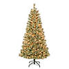 National Tree Company First Traditions&#8482; 6 ft. Arcadia Cashmere Pine Tree with Clear Lights Image 1