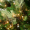 National Tree Company First Traditions&#8482; 6 ft. Charleston Pine Tree with Clear Lights Image 2