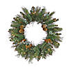 National Tree Company, First Traditions Collection, 24" Pre-Lit Artificial North Conway Wreath with Glittery Cones and Eucalyptus, 50 Warm White LED Lights- Battery Operated with Timer Image 1