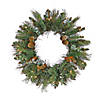 National Tree Company, First Traditions Collection, 24&quot; Pre-Lit Artificial North Conway Wreath with Glittery Cones and Eucalyptus, 50 Warm White LED Lights- Battery Operated with Timer Image 1