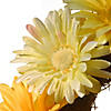 National Tree Company Garden Accents 19" Cosmos Wreath - Yellow Image 3