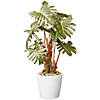 National Tree Company Garden Accents 21" Philodendron Plant in Ceramic Pot-Green Image 1