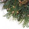 National Tree Company National Tree Company, First Traditions Collection, 30" Pre-Lit Artificial North Conway Wreath with Glittery Cones and Eucalyptus, 100 Warm White LED Lights- Battery Operated with Timer Image 2