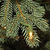 National Tree Company Replacement Bulbs, 25 Clear Image 1