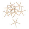 Natural Bleached Finger Starfish - 12 Pc. Image 1