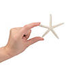 Natural Bleached Finger Starfish - 12 Pc. Image 1