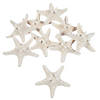Natural Bleached Philippine Starfish - 12 Pc. Image 1