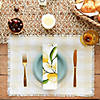 Natural Heavyweight Check Fringed Placemat (Set Of 6) Image 3