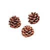 Natural Pinecones - 12 Pc. Image 1