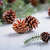 Natural Pinecones - 12 Pc. Image 2