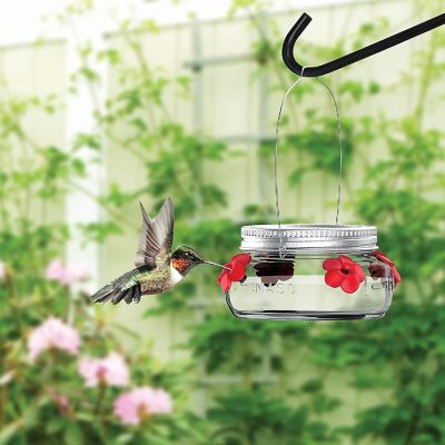 Nature's Way Bird Products #MJF1 Mason Jar Hummingbird Dish Feeder Image 1