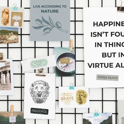 Navy Peony Mindfulness Stoicism Vision Board Stickers (30pcs) Image 2