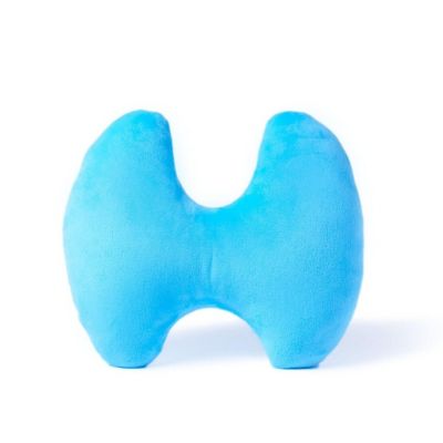 Nerdbugs 9x6x3in Thyroid Plush STEM Organ Toy Image 2