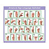 North Star Teacher Resources Adhesive ASL Alphabet Desk Prompts, 36 Per Pack, 6 Packs Image 1