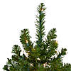 Northlight 1.5' Pre-Lit Medium Canadian Pine Artificial Christmas Tree - Clear Lights Image 3