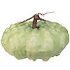 Northlight 10.5" Green Textured Pumpkin Fall Harvest Table Top Decoration Image 1
